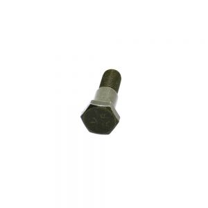 Side Stand Bolt